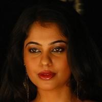 Bindhu Madhavi Hot Photo Shoot Pictures | Picture 93557